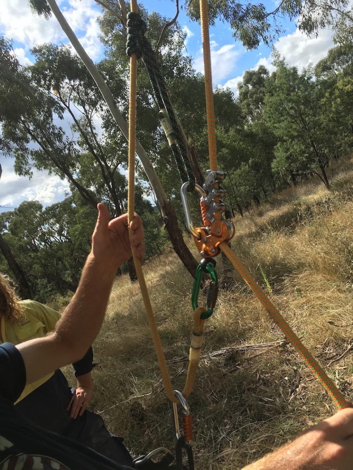 Hands holding a rigging rope through carabiners above dry grass